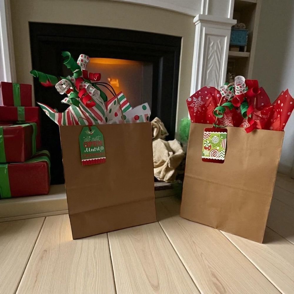 Set of 5 Festive Gift Bag Set with Red and Green Accents